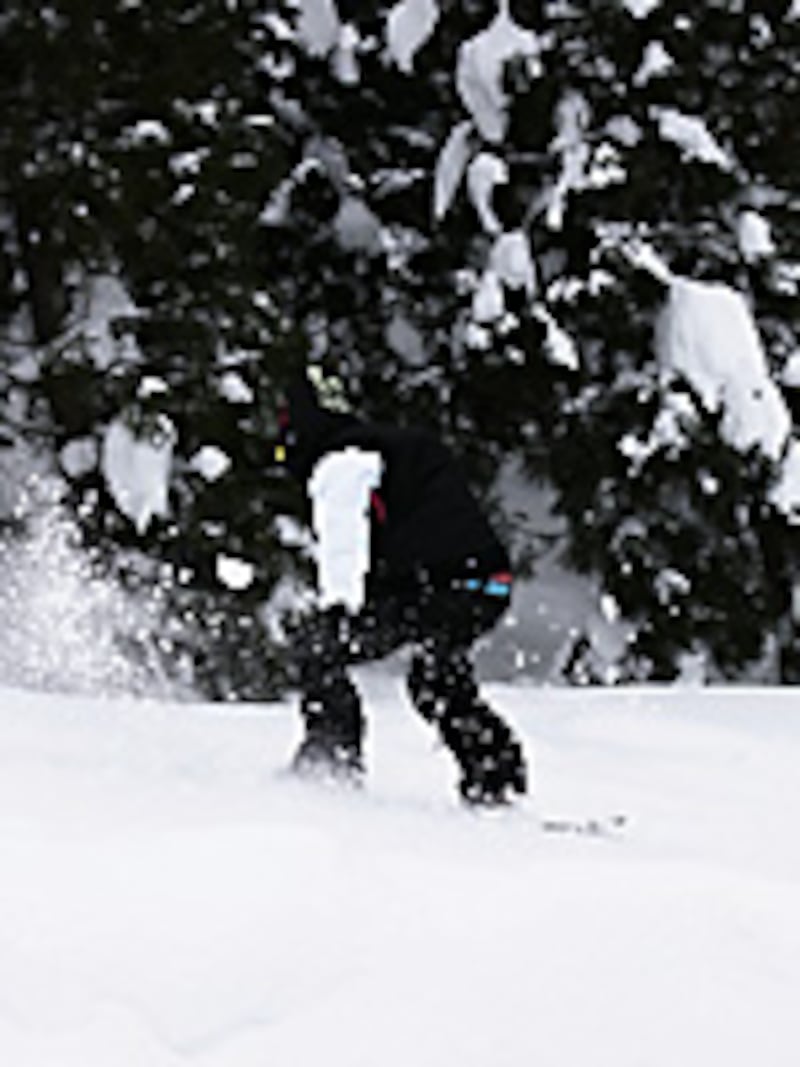 画像の代替テキスト