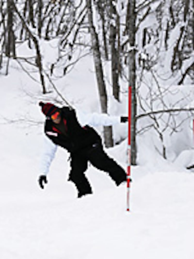 画像の代替テキスト