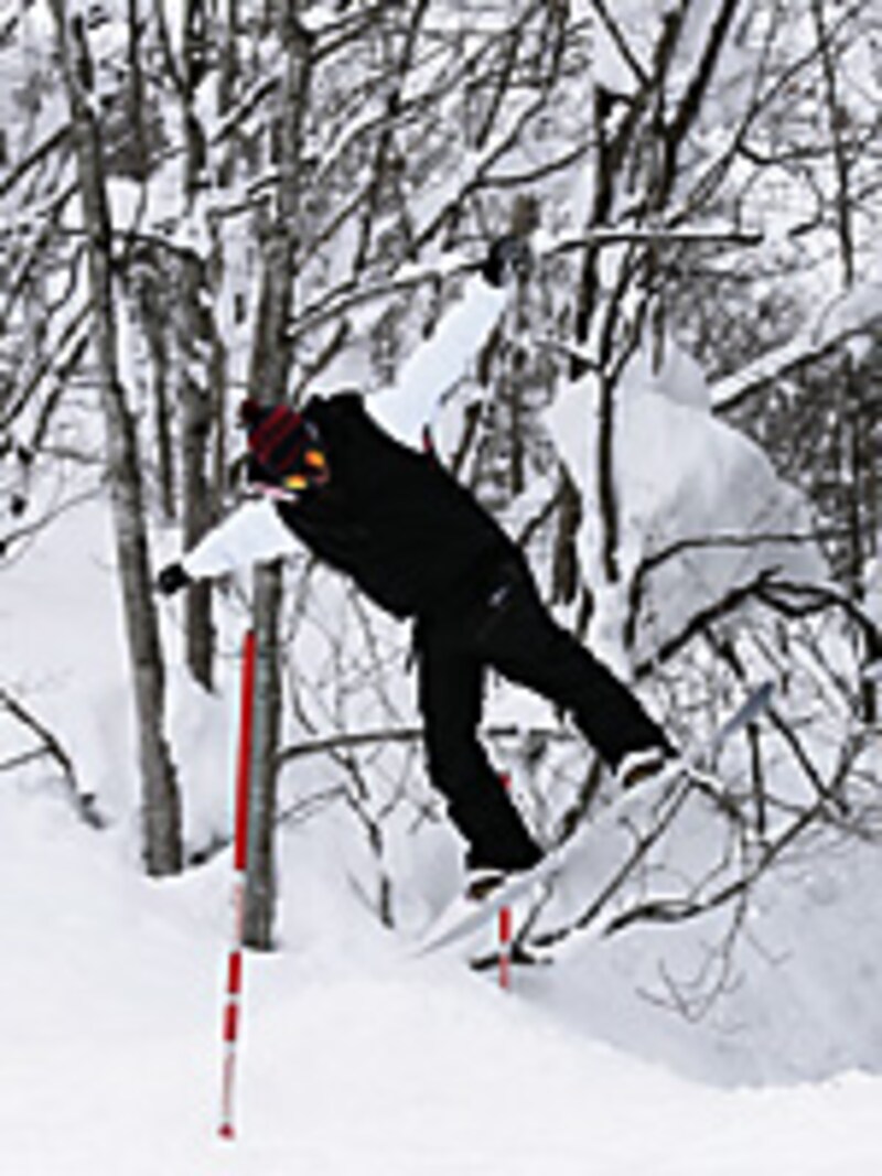 画像の代替テキスト