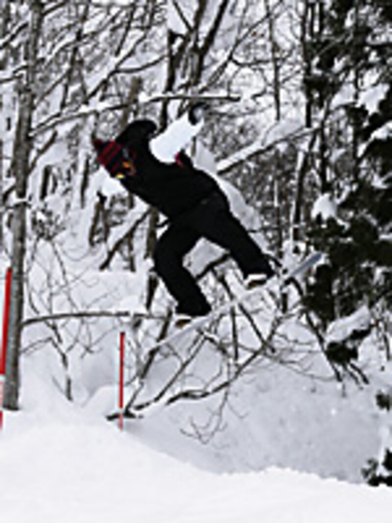 画像の代替テキスト