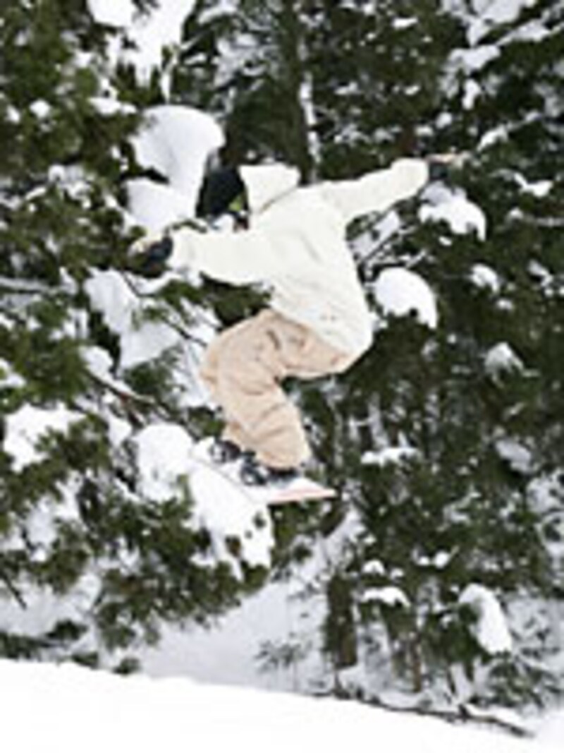 画像の代替テキスト