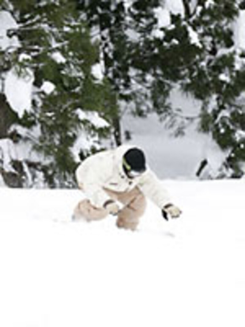 画像の代替テキスト