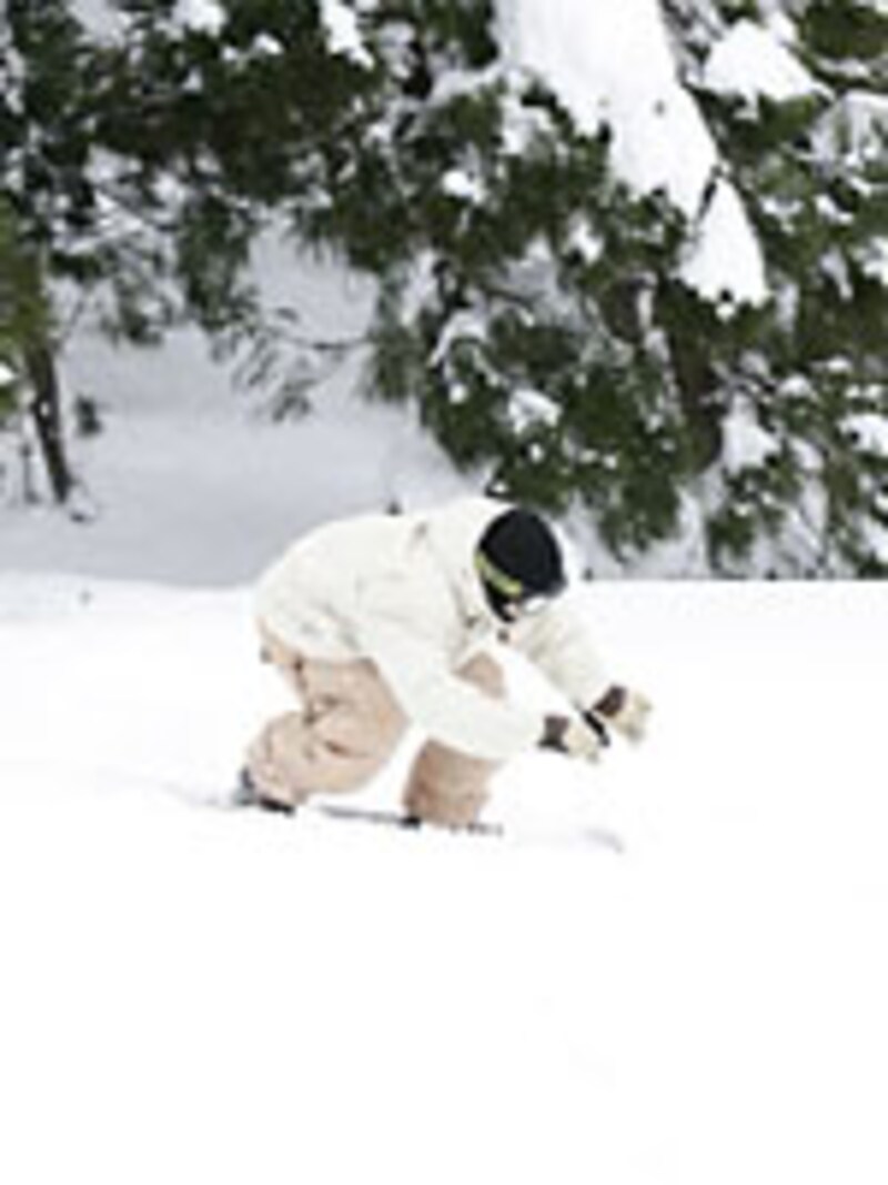 画像の代替テキスト