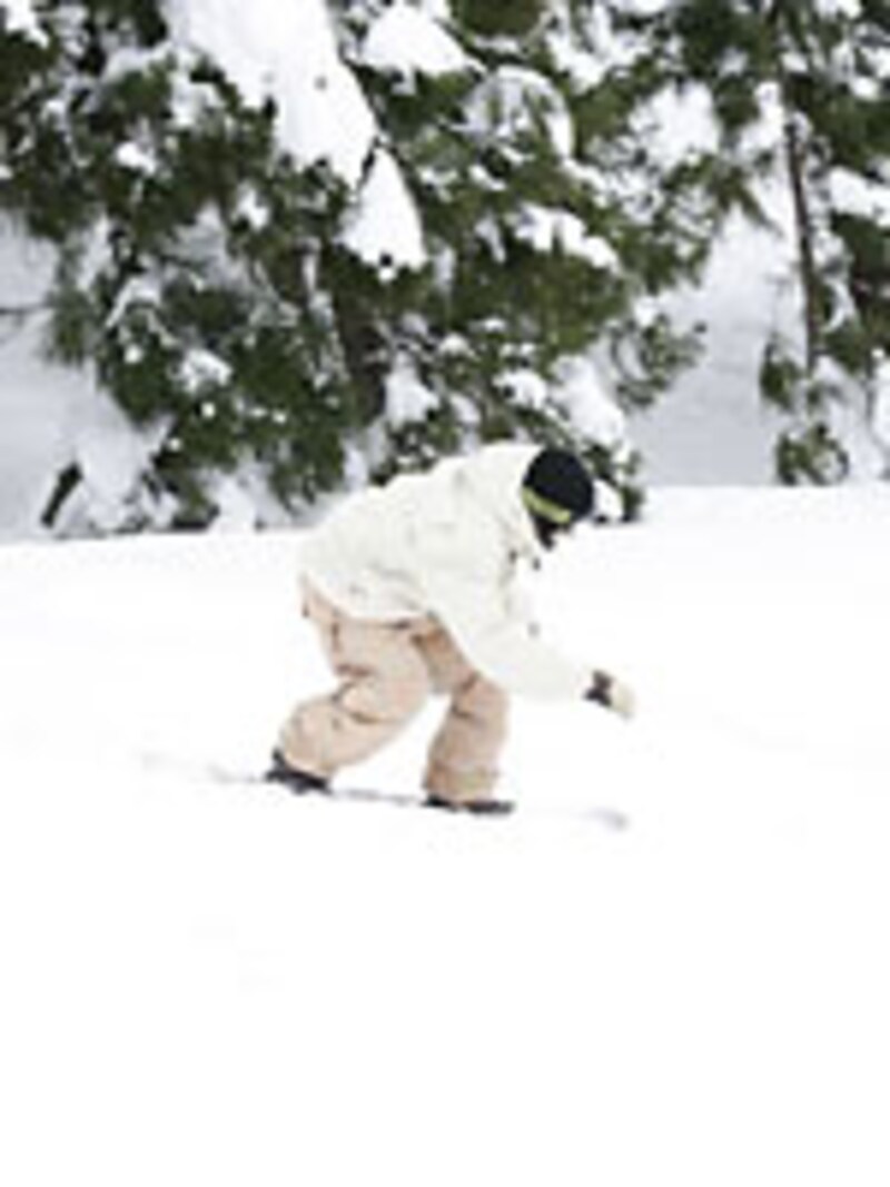 画像の代替テキスト