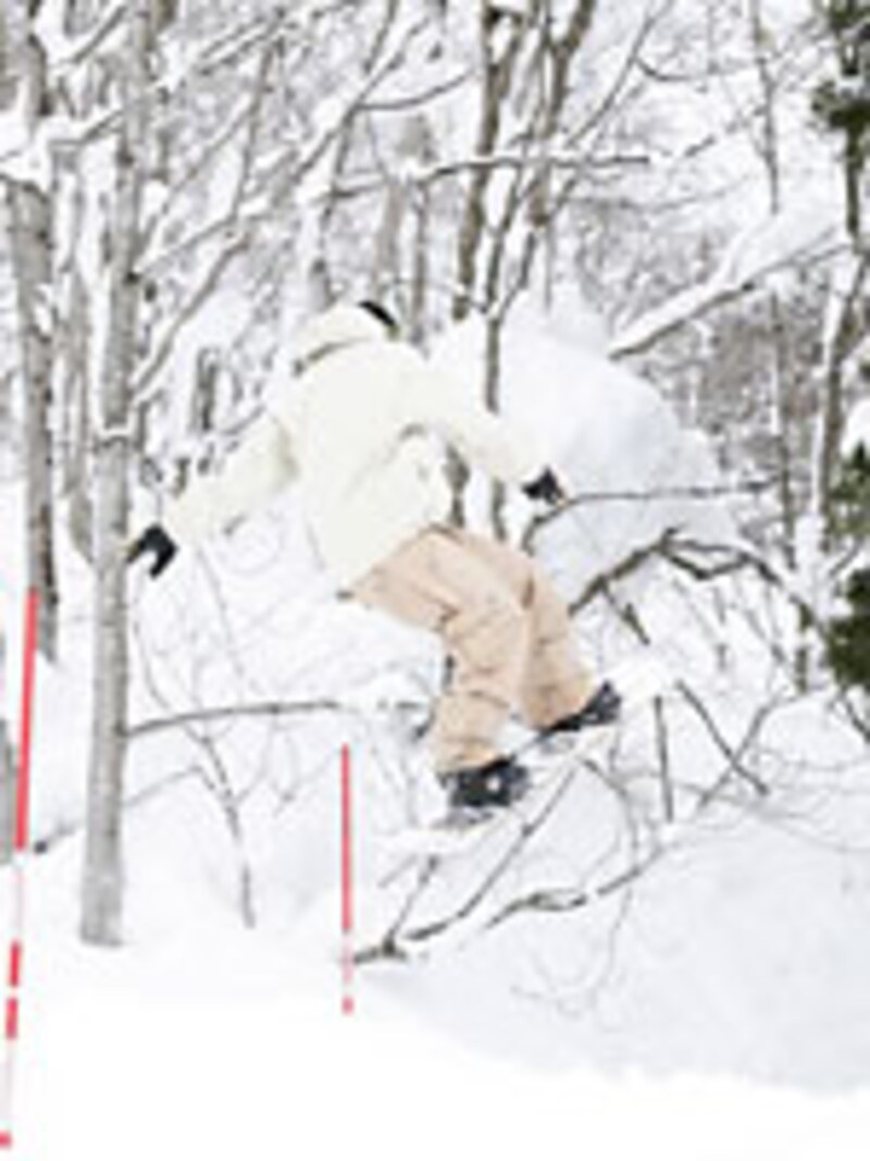 画像の代替テキスト