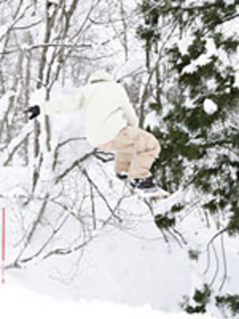 画像の代替テキスト