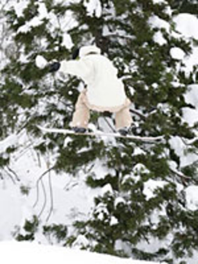 画像の代替テキスト