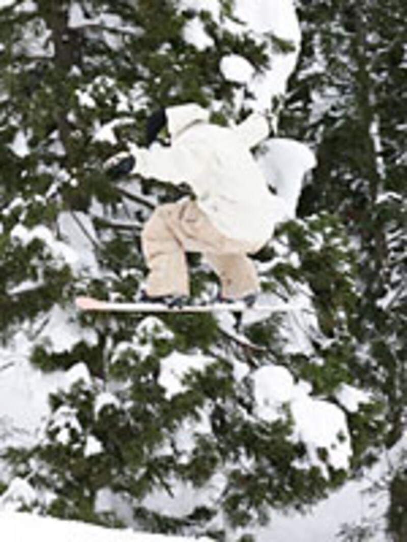 画像の代替テキスト