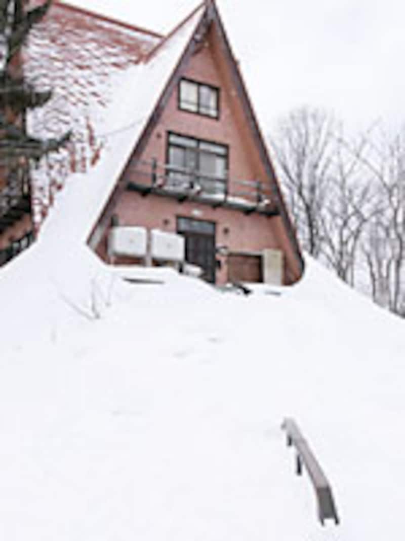 画像の代替テキスト