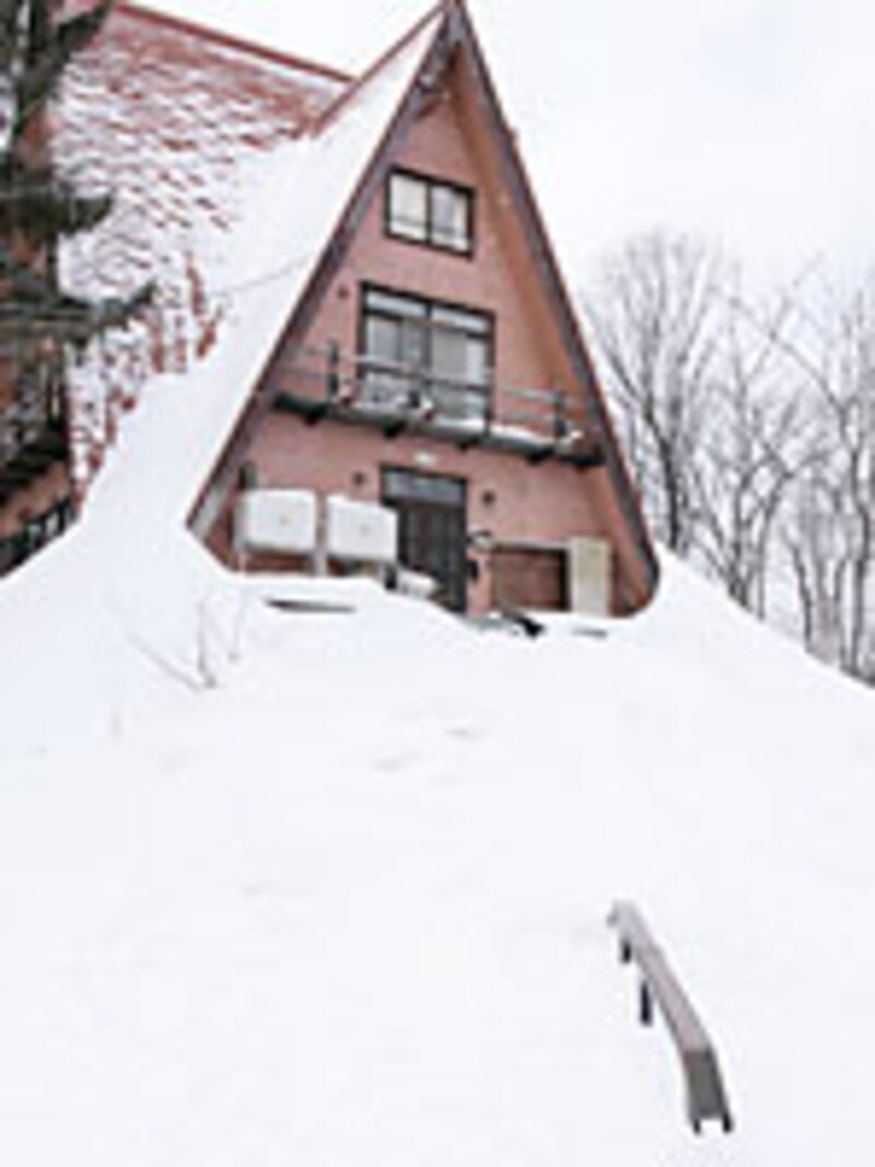 画像の代替テキスト