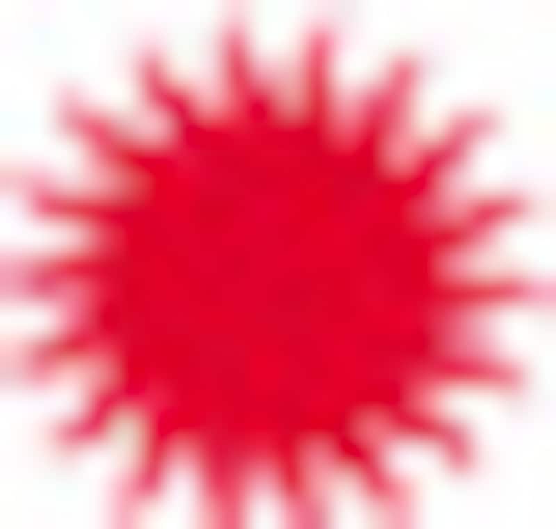 index.jpg
