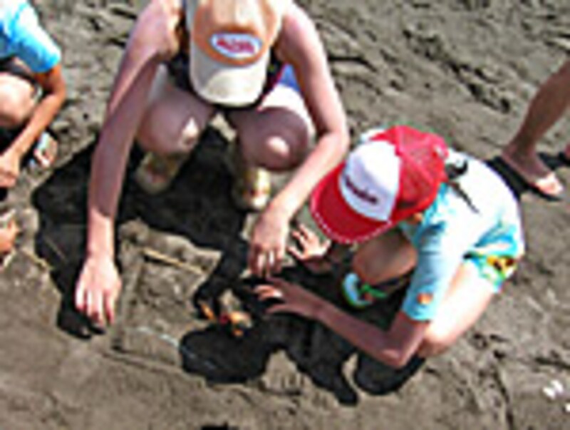 どんなお花ができるかな?