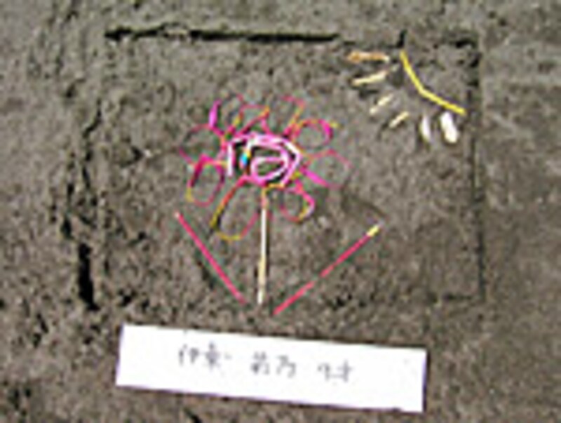 こっちのお花はどうですか?