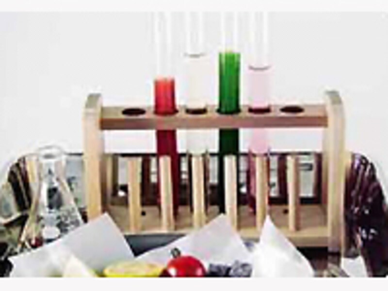 遊び心溢れるプレートメニュー「ミラクルフルーツ実験室」