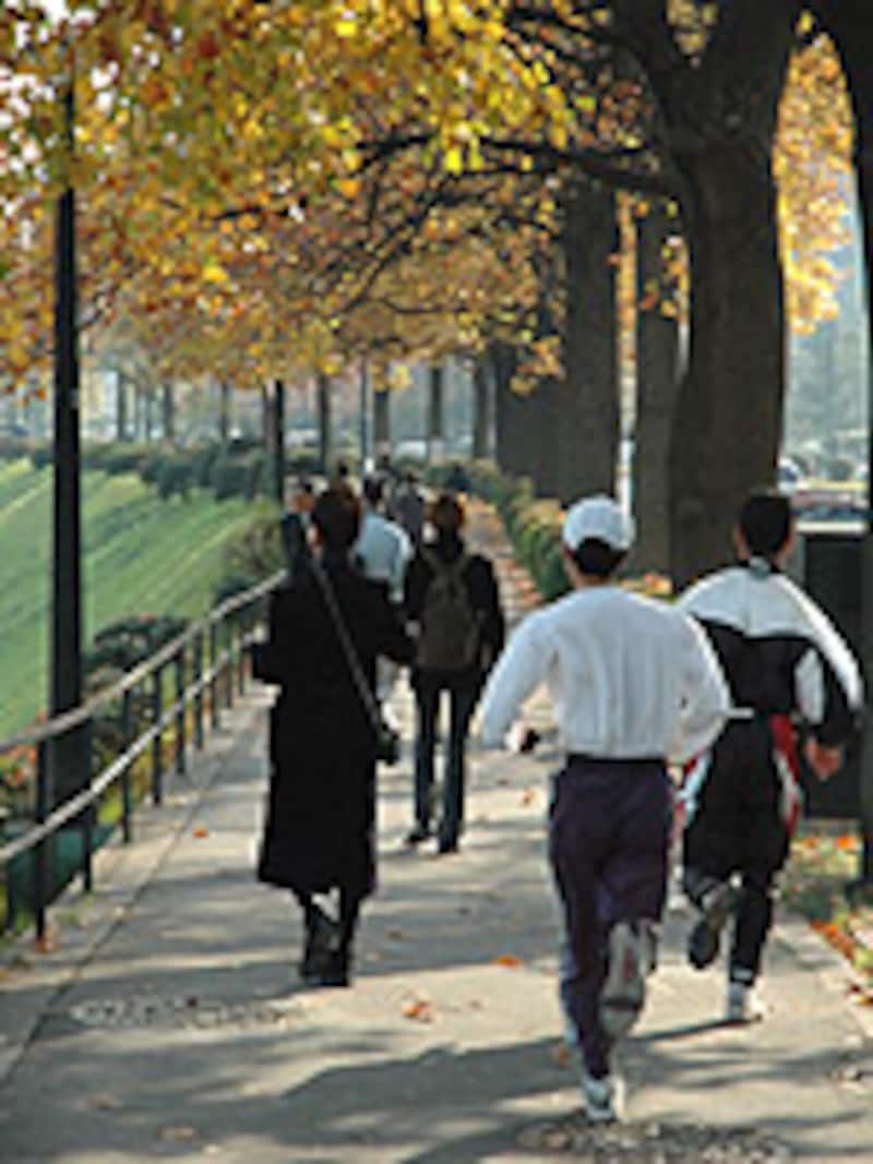 皇居周りを走る人