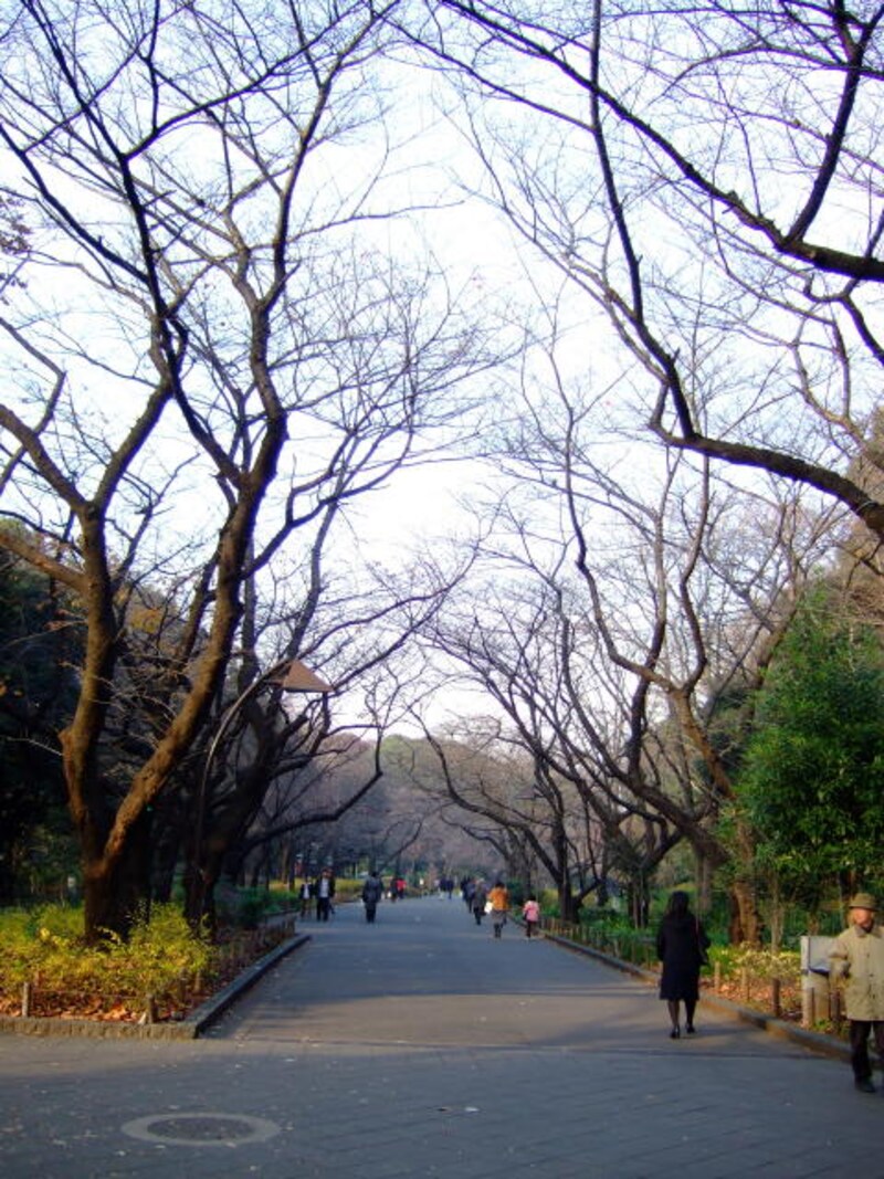 落ち葉を踏みしめて歩く。