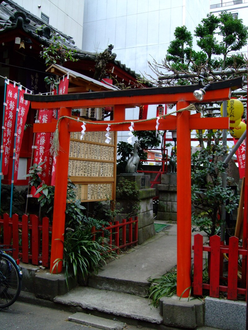 落ち葉を踏みしめて歩く。