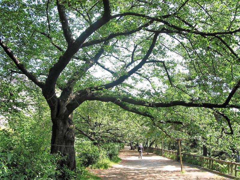 穴場のお散歩コースだ