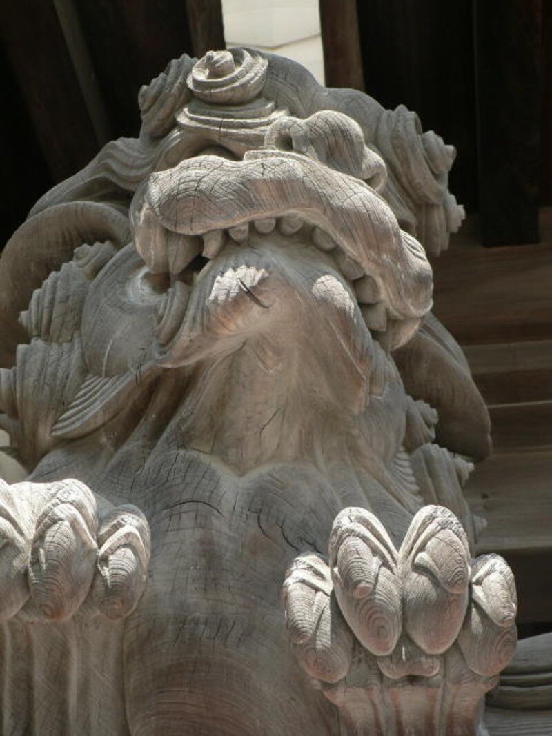 前田撮影の深川不動尊