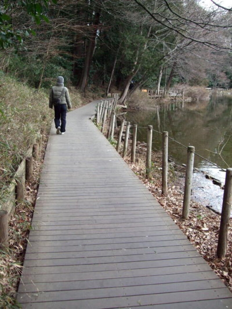 石神井公園まで歩き、辛いラーメンを食べる(4ページ目)