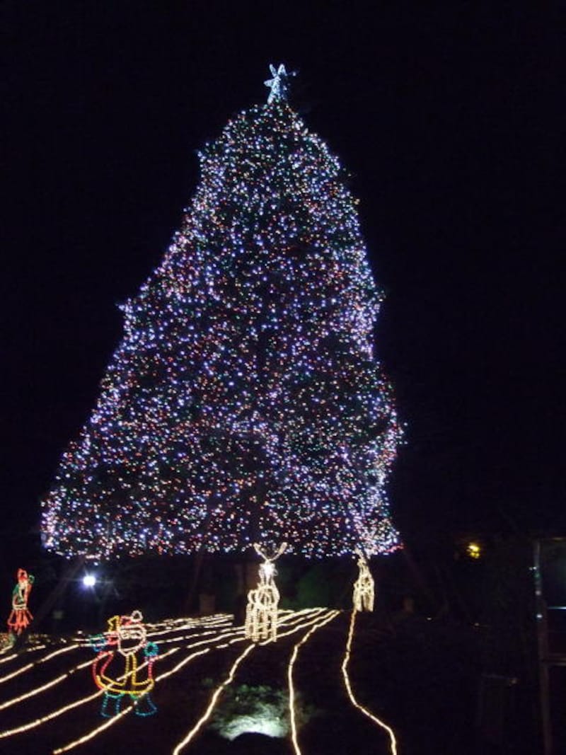 ホテルニューオータニ