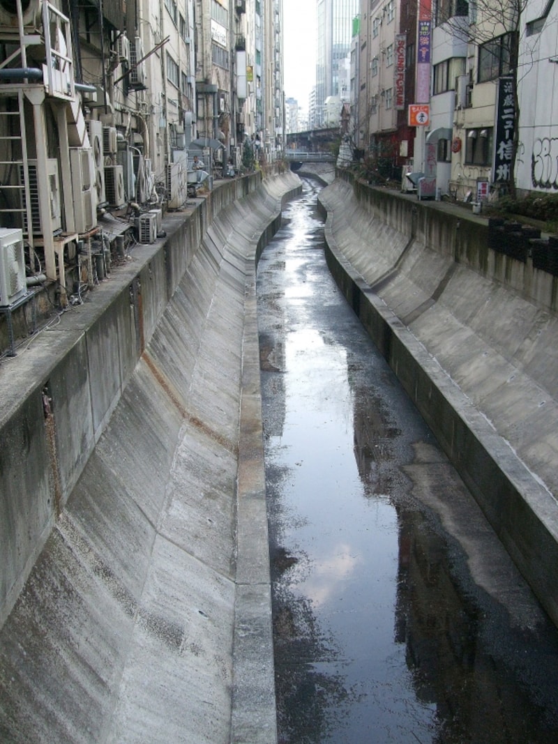 暗渠から表にでてきたところ