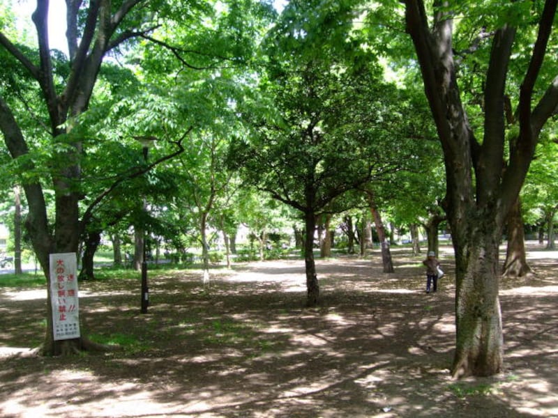 戸山公園