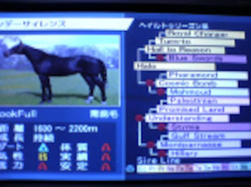 種付け