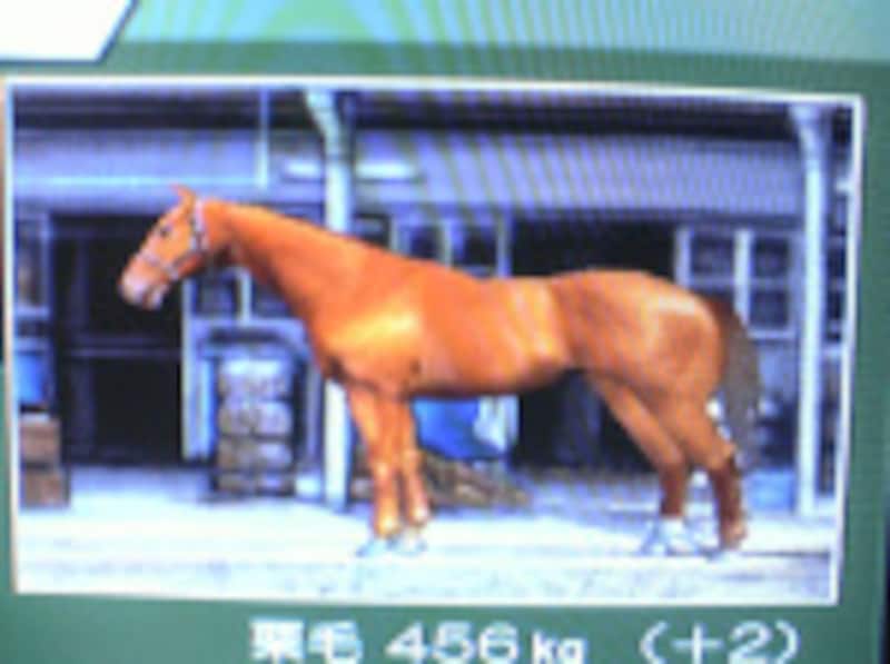 外見