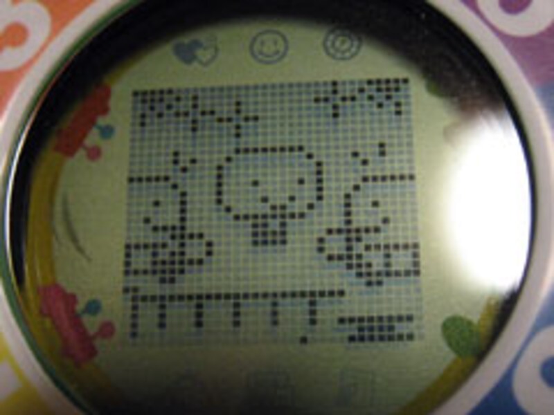 写真のタイトル