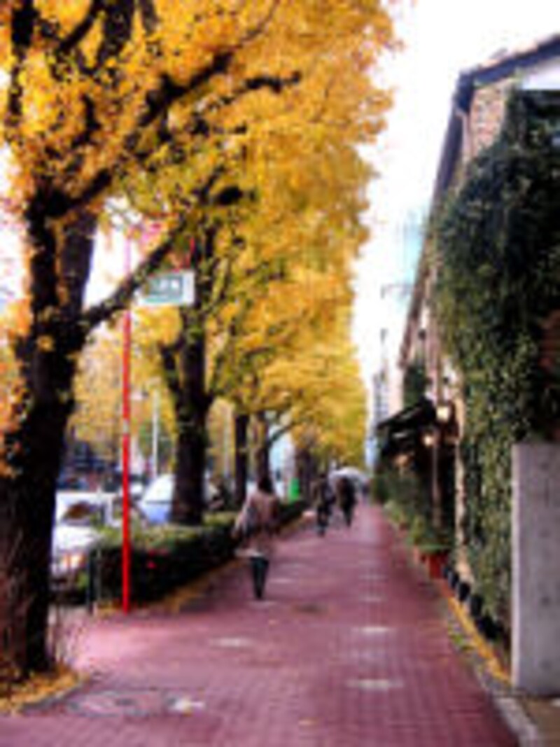 イル・グラッポロ・ダ・ミウラ