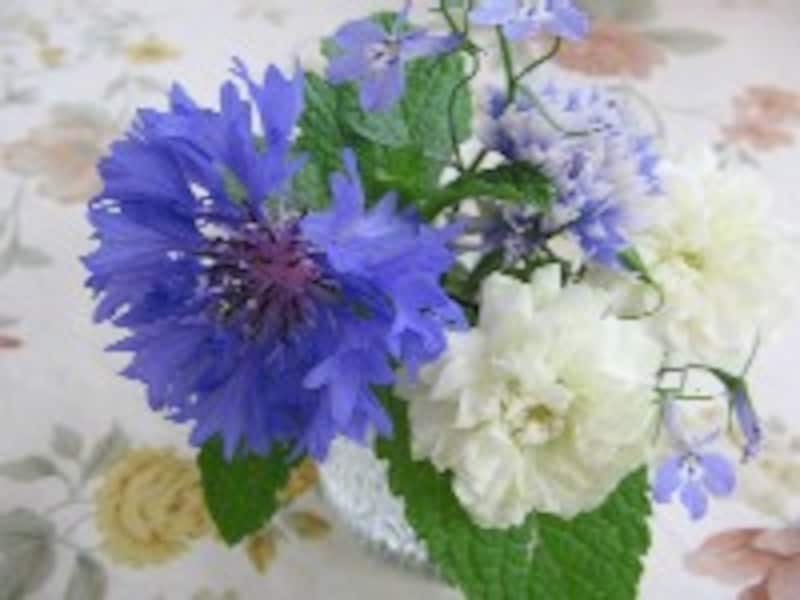 おいしい野菜塾