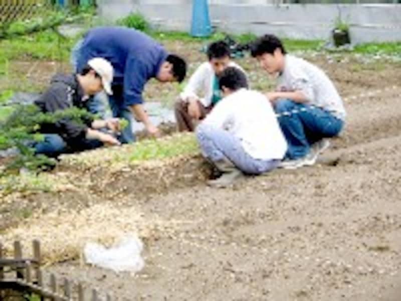 おいしい野菜塾