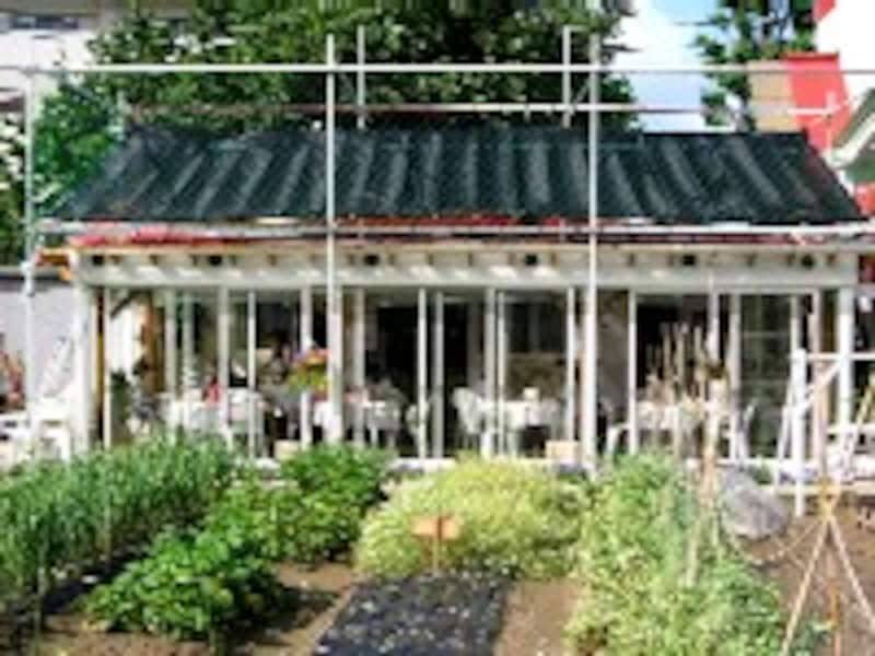 おいしい野菜塾