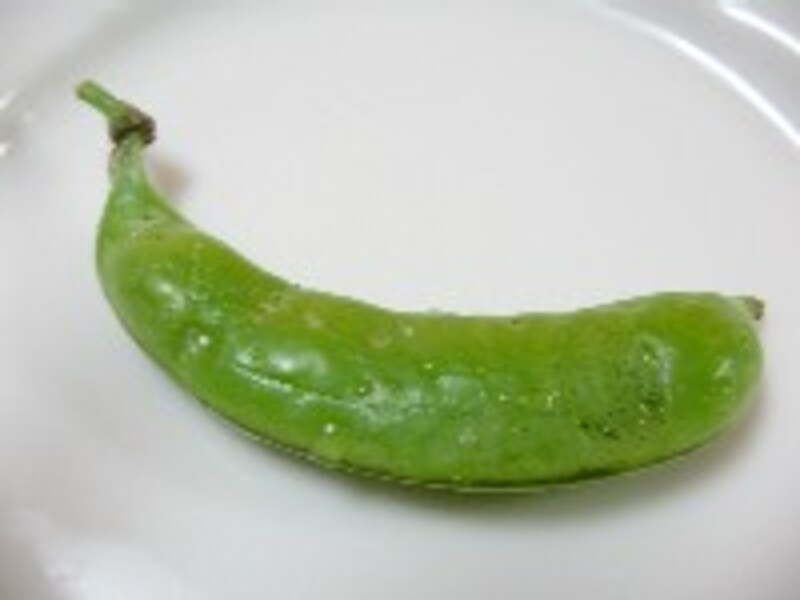 おいしい野菜塾