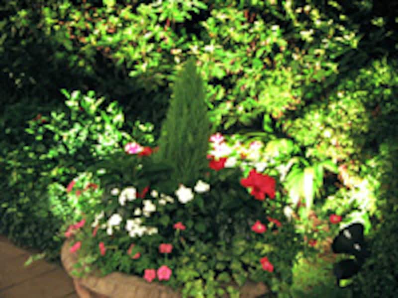 ウェスティンホテル東京