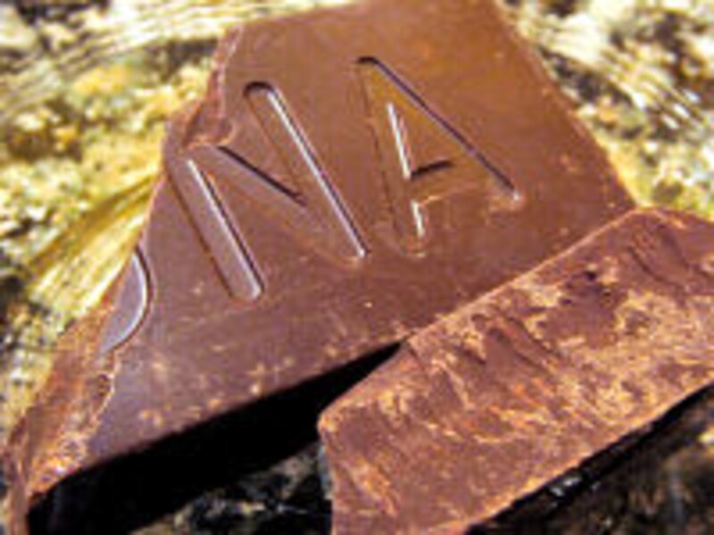 ラ・メゾン・デュ・ショコラ