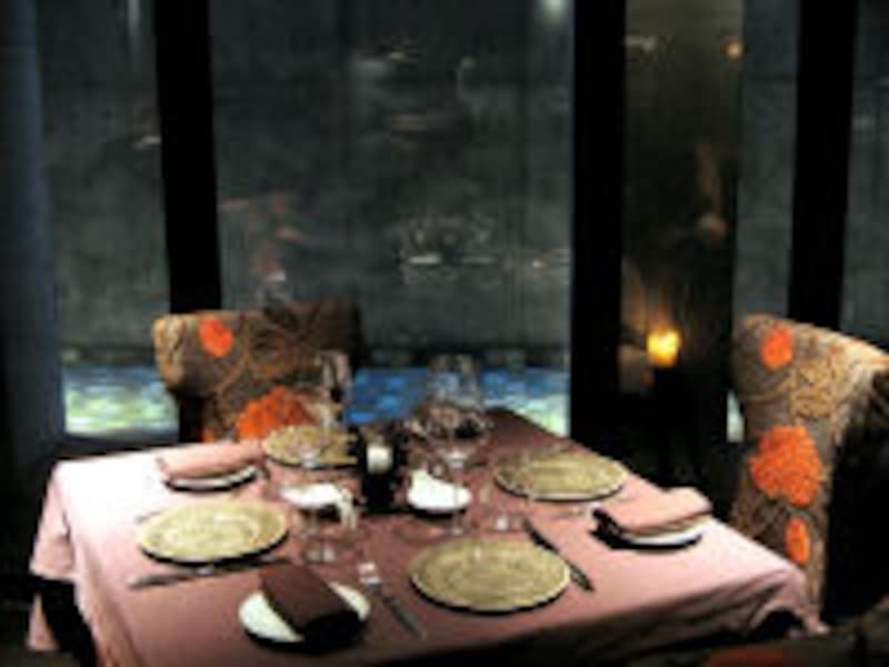 グリリア・ウエタケ