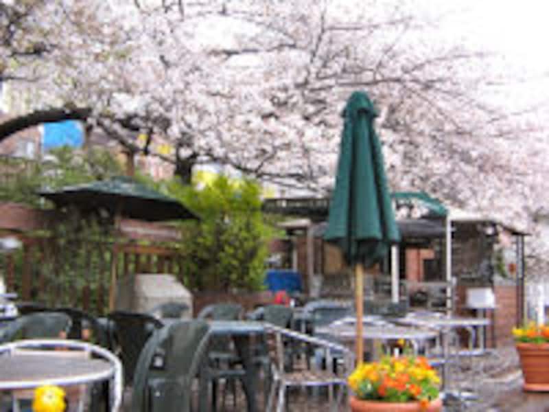 ドラマで使われたレストラン永久保存版3!