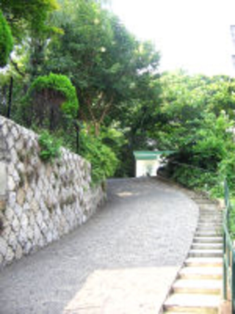 東京日仏学院 ラ・ブラスリー