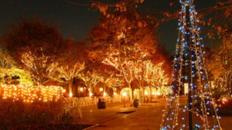 ドラマで使われたレストラン永久保存版5!