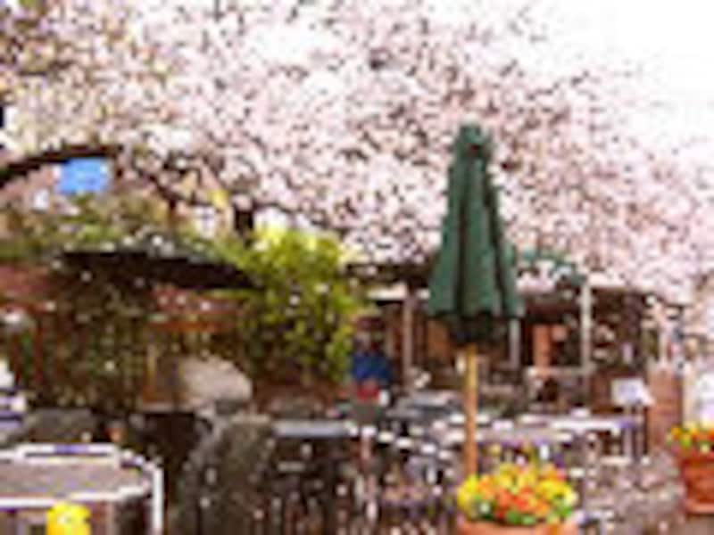 ドラマで使われたレストラン永久保存版10！