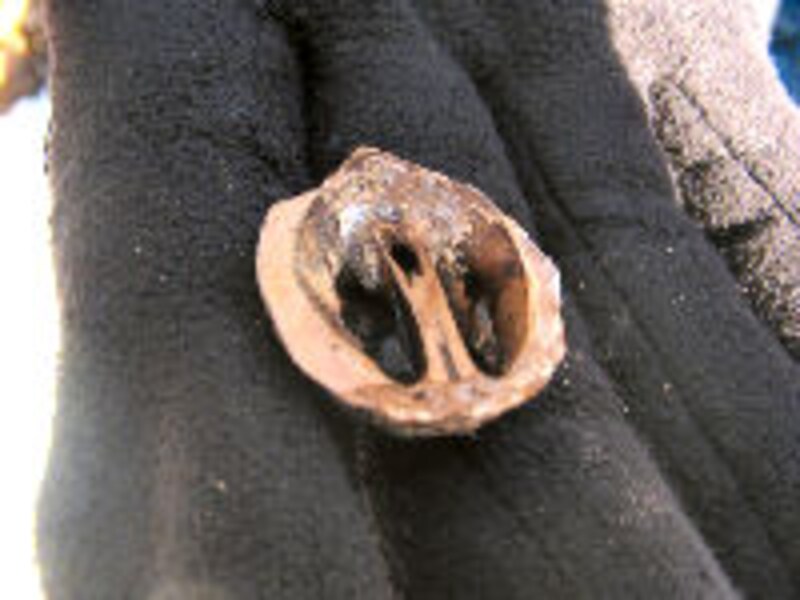 軽井沢ホテルブレストンコート