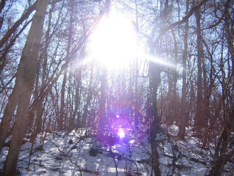 軽井沢ホテルブレストンコート