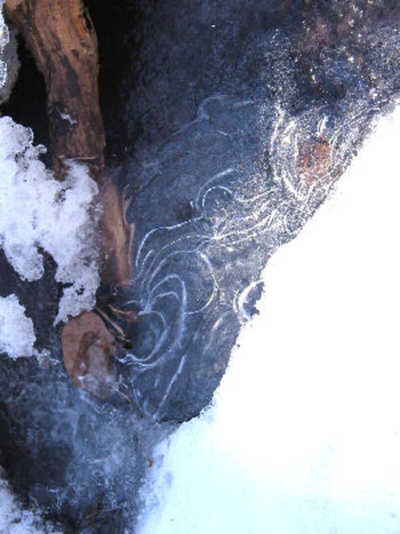 軽井沢ホテルブレストンコート