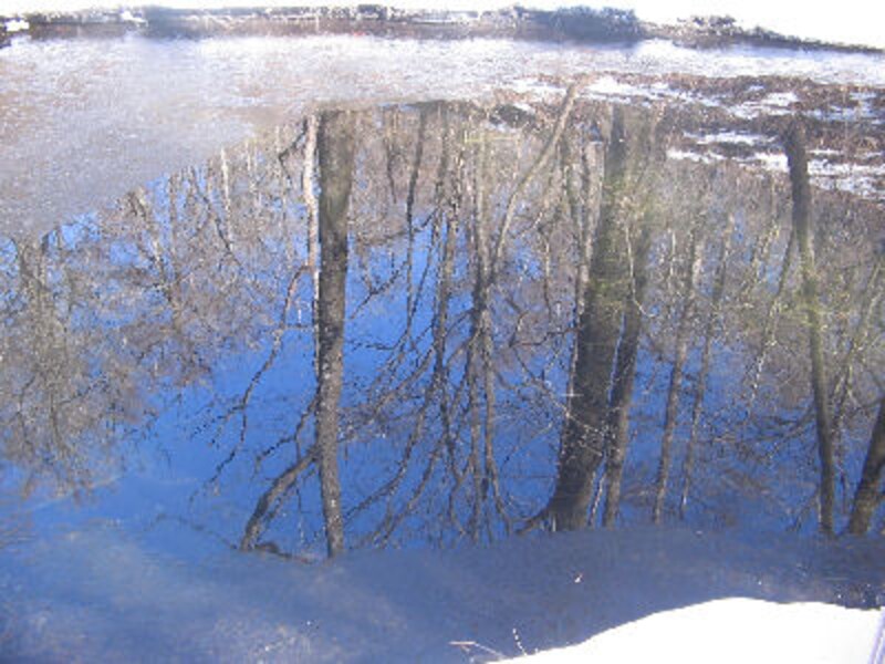 軽井沢ホテルブレストンコート