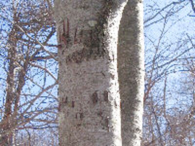 軽井沢ホテルブレストンコート