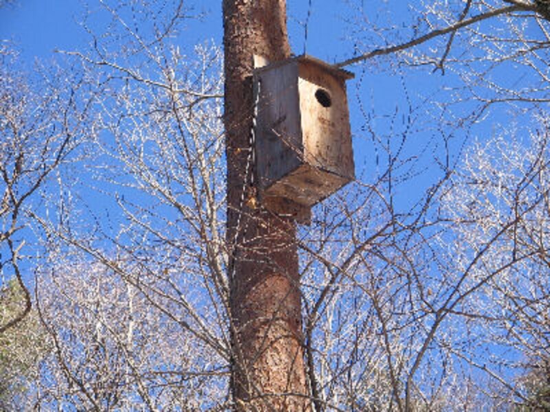 軽井沢ホテルブレストンコート