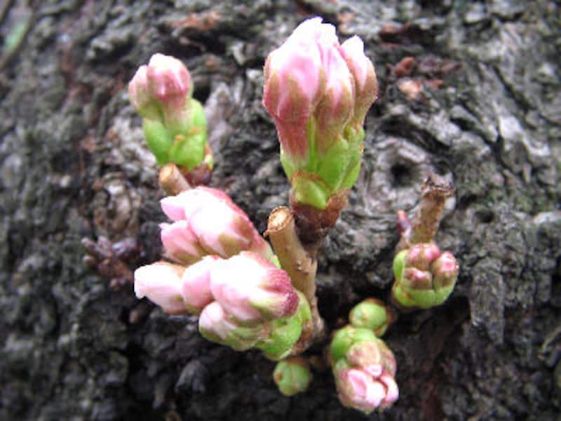 ドラマで使われたレストラン永久保存版７！