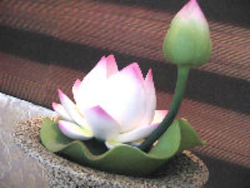 「H & M」 の上でお食事を！